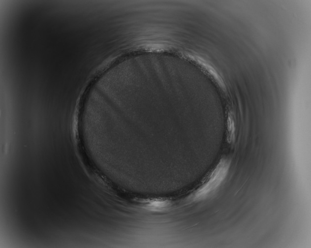 X0000087580492200705181203