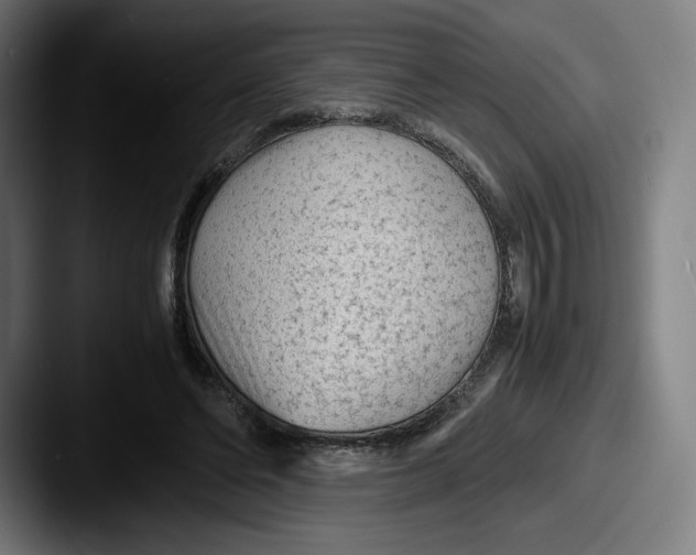 X0000087580494200705181203