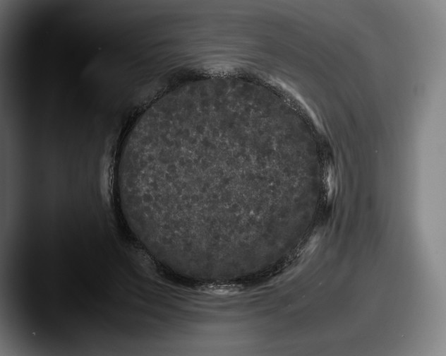 X0000087580495200705181203