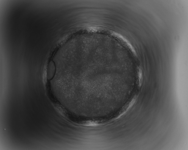X0000087580496200705181203