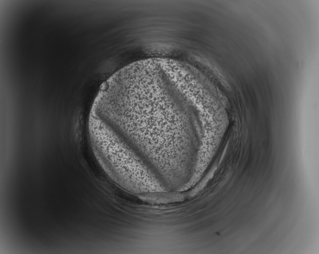X0000087580498200705181203