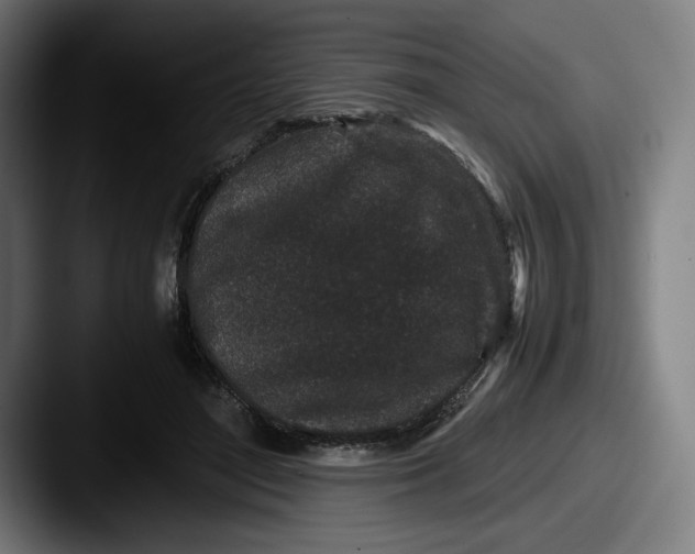 X0000087580500200705181203