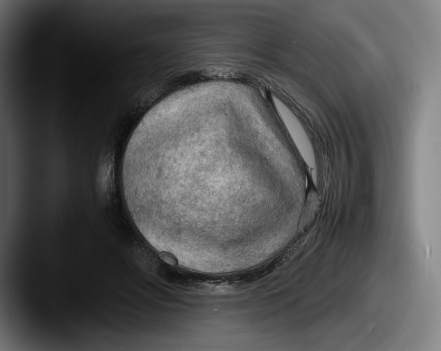 X0000087580502200705181203