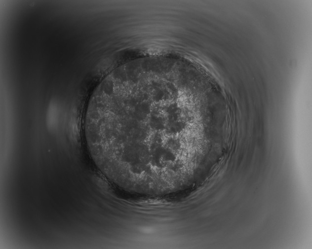 X0000087580503200705181203
