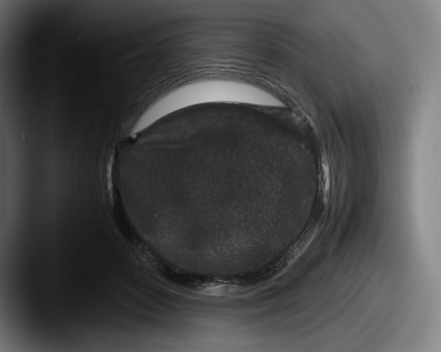 X0000087580504200705181203