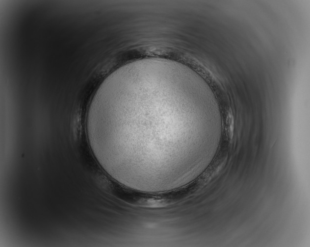 X0000087580506200705181203
