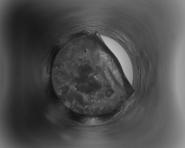 X0000087580507200705181203