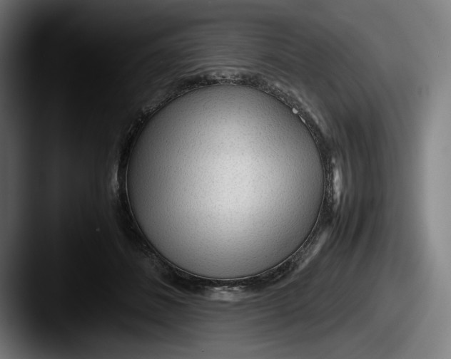 X0000087580508200705181203