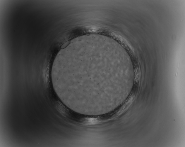 X0000087580509200705181203