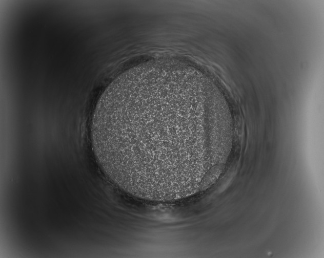 X0000087580511200705181203
