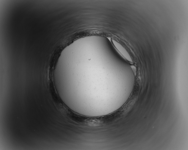 X0000087580512200705181203