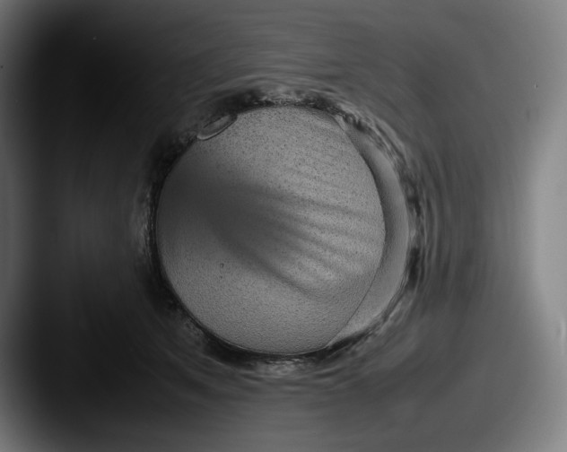 X0000087580513200705181203