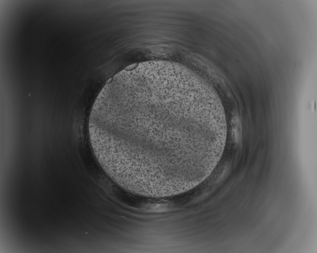 X0000087580514200705181203
