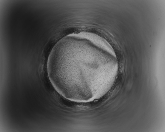 X0000087580515200705181203