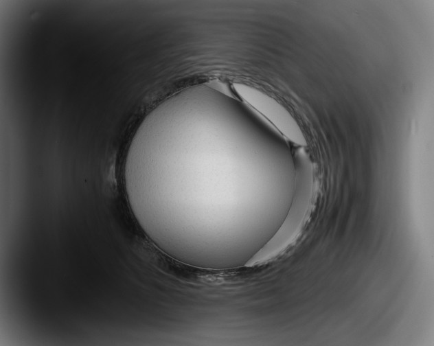 X0000087580516200705181203