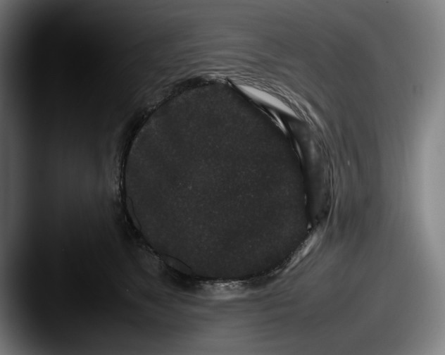 X0000087580517200705181203