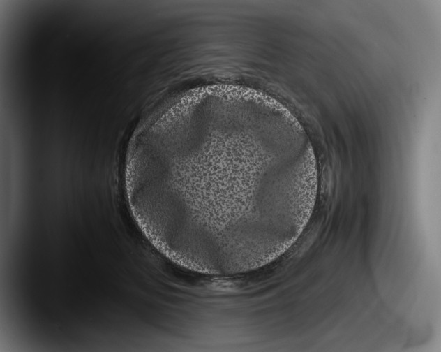X0000087580518200705181203