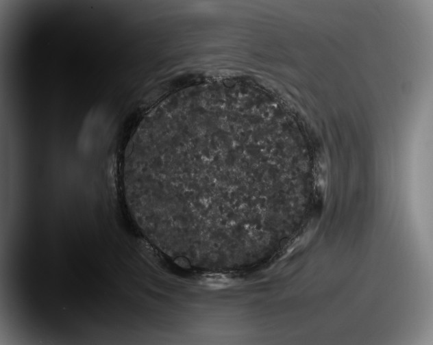 X0000087580519200705181203