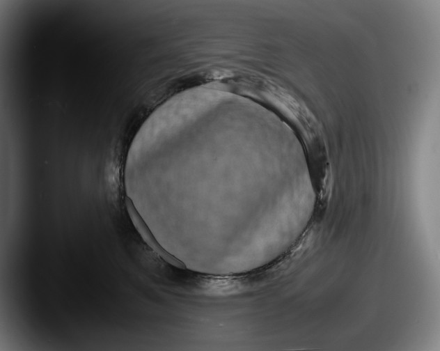 X0000087580521200705181203
