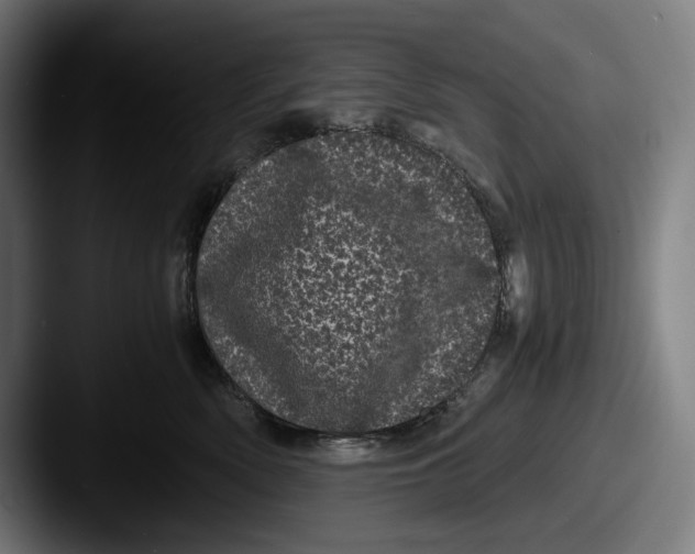 X0000087580522200705181203