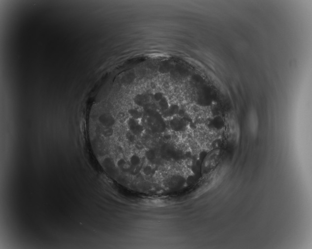 X0000087580523200705181203