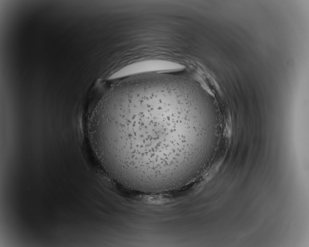 X0000087580524200705181203