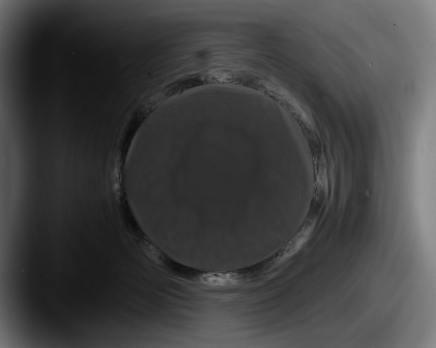 X0000087580526200705181203