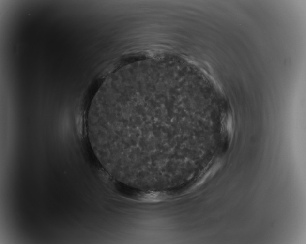 X0000087580527200705181203