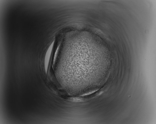 X0000087580528200705181203