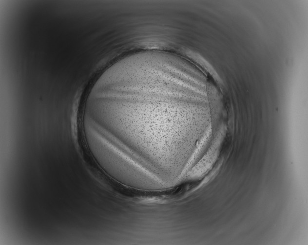 X0000087580530200705181202