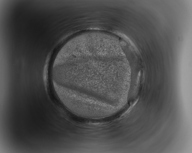 X0000087580531200705181203