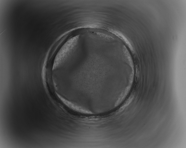 X0000087580532200705181203