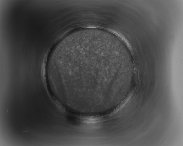 X0000087580533200705181203