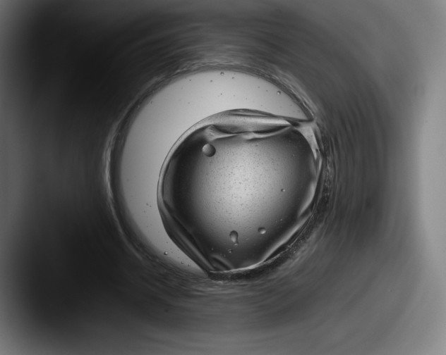 X0000087580534200705181203