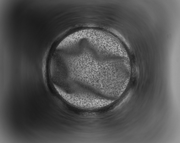X0000087580535200705181203