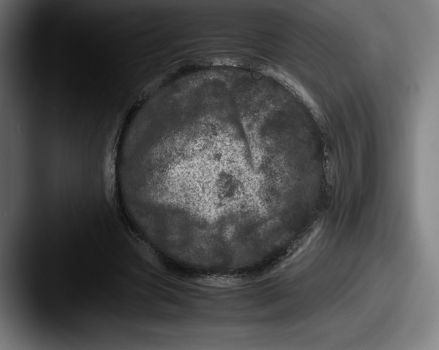 X0000087580537200705181203