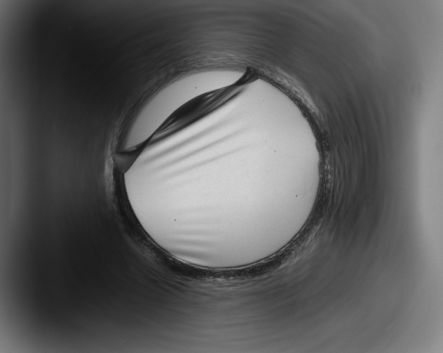 X0000087580538200705181203