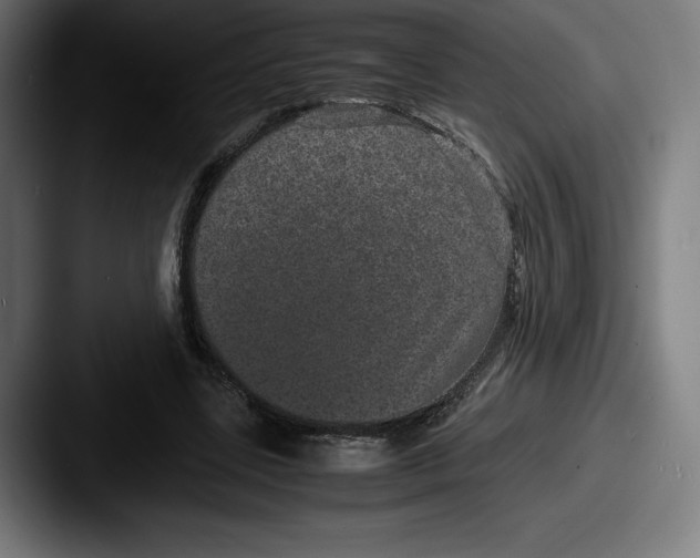 X0000087580539200705181203