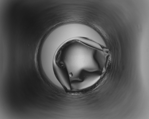 X0000087580540200705181203