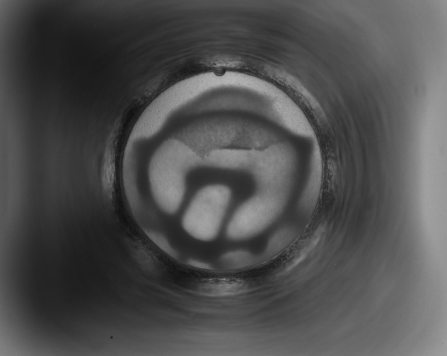 X0000087580541200705181203