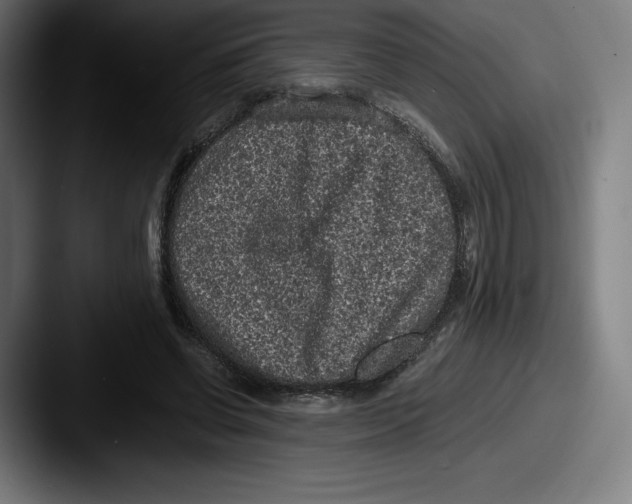 X0000087580542200705181203