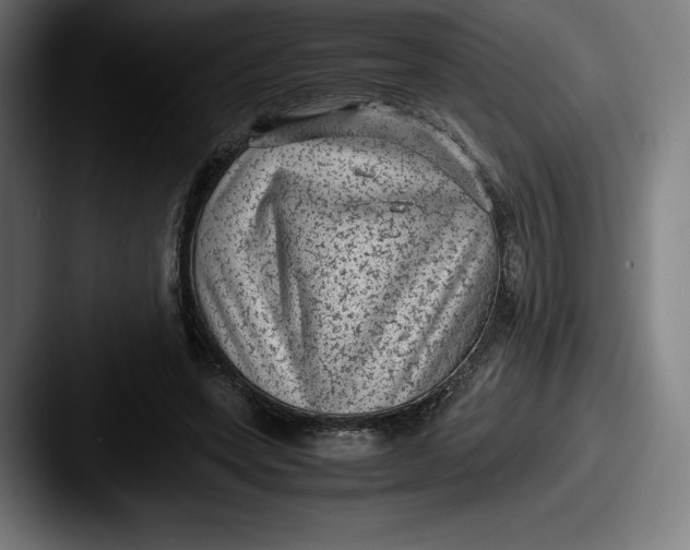 X0000087580543200705181203