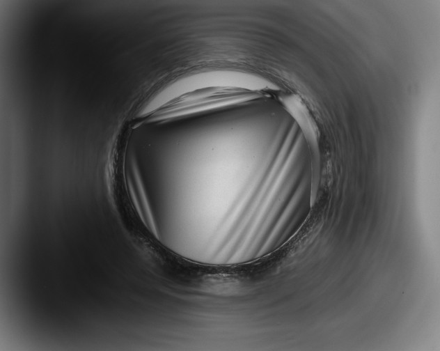 X0000087580544200705181203
