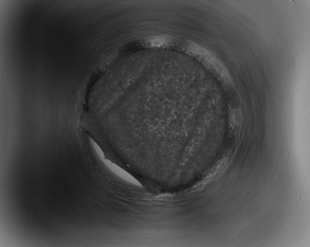 X0000087580545200705181203