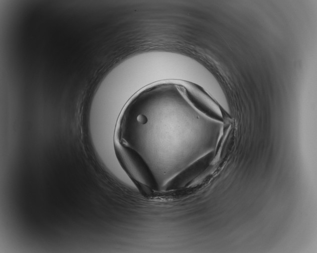 X0000087580546200705181203