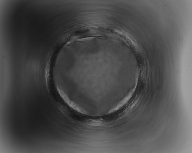 X0000087580548200705181203