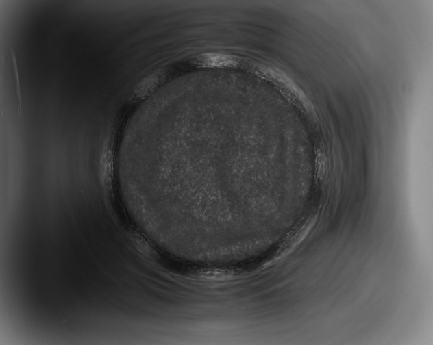 X0000087580549200705181203