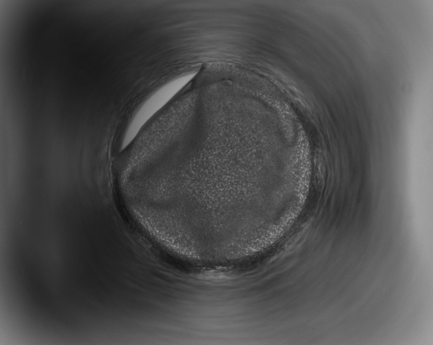 X0000087580550200705181203
