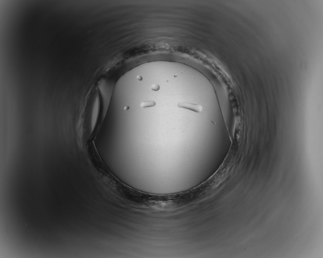 X0000087580552200705181203