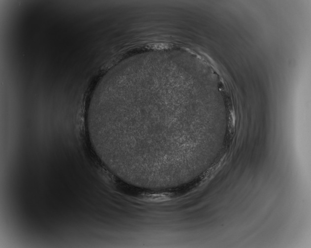 X0000087580553200705181203